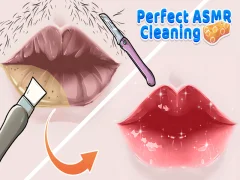שפּיל Perfect Asmr Cleaning אָנליין