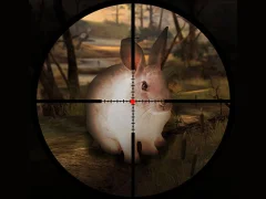 Classical Rabbit Sniper Hunting 2019 — free online game