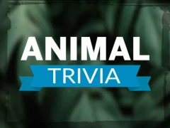 Igra Animal Trivia online