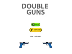 Double Guns 2d Hit — free online game
