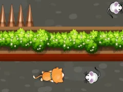 Cat Trap Labyrinth Escape — free online game