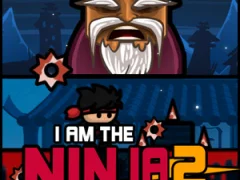 I am the Ninja 2