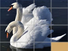 Animals Slide Puzzle — free online game