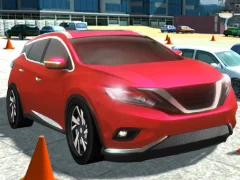 Driving Test Simulator — free online game