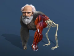 Idle Evolution From Cell To Human — free online game