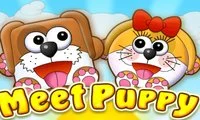 Igra Meet Puppy online