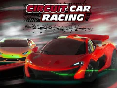 Igra Circuit Car Racing spletu