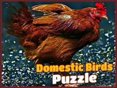 Domestic Birds Puzzle — free online game