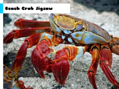 Beach Crab Jigsaw — free online game