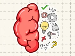 Brain Tricky Puzzles — free online game