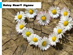 Daisy Heart Jigsaw — free online game