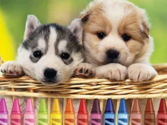 Cluiche Puppy Coloring ar líne