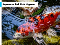 Japanese Koi Fish Jigsaw — free online game