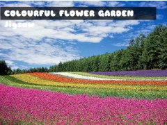 Colourful Flower Garden Jigsaw — free online game