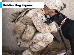 Soldier Dog Jigsaw — لعبة مجانية اون لاين
