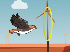 Mchezo Flying bird online