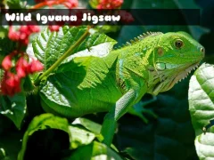 Wild Iguana — free online game