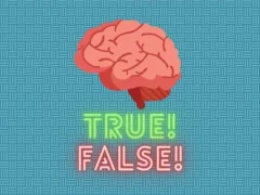 True! False!  — jogo online grátis