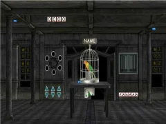 Parrots Escape — لعبة مجانية اون لاين