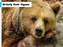 Grizzly Bear Jigsaw — free online game