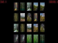 Laro Forest memory online