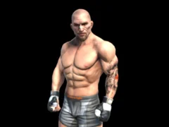 Fight Arena Online — free online game