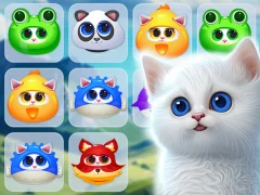 Kitty Jewel Quest — free online game