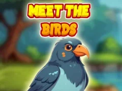 Permainan Meet The Birds  talian