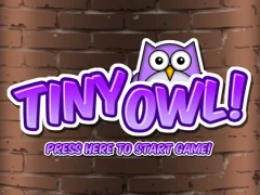 Mchezo Tiny Owl online