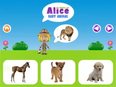 World of Alice baby animal — لعبة مجانية اون لاين