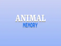 Animals Memory — free online game