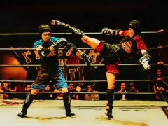 Fighters in the Ring — free online game