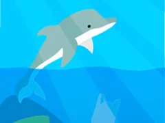 Dolphin Life — free online game