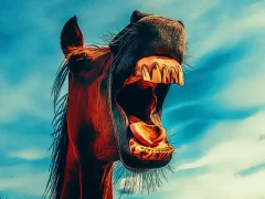 Funny Smiling Animals — безплатна онлайн игра
