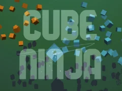 თამაში Cube Ninja ონლაინ