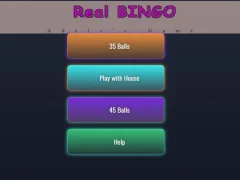Real BINGO  — free online game