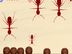 Laro Smash All Ants online