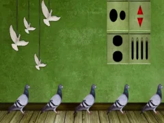 Pigeon Escape 2 — لعبة مجانية اون لاين