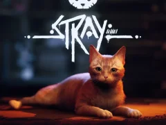 Stray — free online game