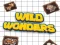 Wild Wonders — free online game