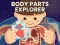 Body Parts Explorer — free online game