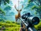 Jungle Deer Hunting — free online game