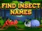 Find Insects Names — jogo online grátis