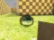 Ball Physics Simulator — free online game