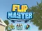 Flip Master — free online game