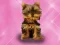Wash Pets Princess Kids     — free online game