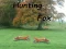 Hunting Fox — free online game