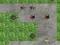 Spider Tower Defence — free online game