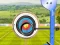 Archery World Tour — free online game
