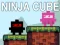 Ninja Cube — free online game